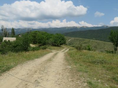 იყიდება სასოფლო სამეურნეო მიწის ნაკვეთი,    ფართი: 600 მ²