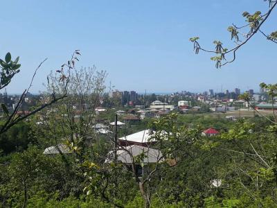 Agricultural land for sale,  area: 1600 m²