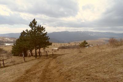Agricultural land for sale,  area: 1066 m²