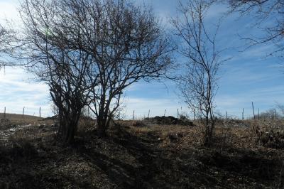 იყიდება სასოფლო სამეურნეო მიწის ნაკვეთი,    ფართი: 15000 მ²