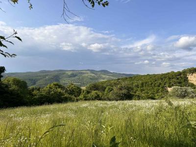 Продаётся сельскохозяйственный участок,    площадь: 4245 м²