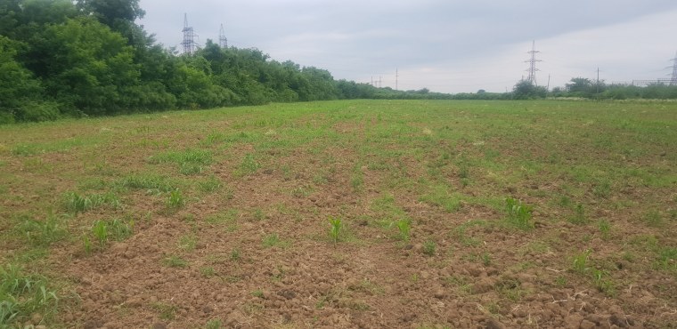 For sale Agricultural plot
